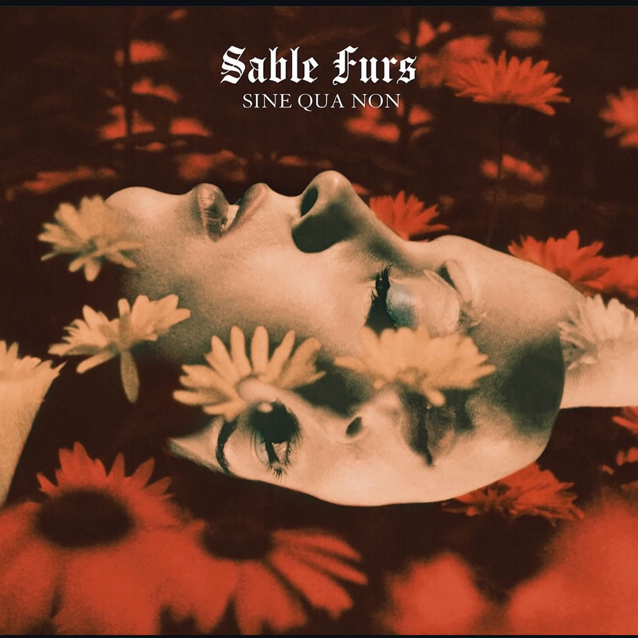 Sable Furs cover art