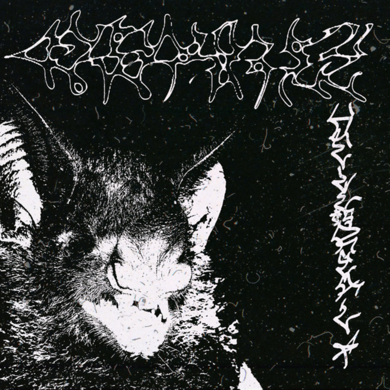 Desensitize cover art