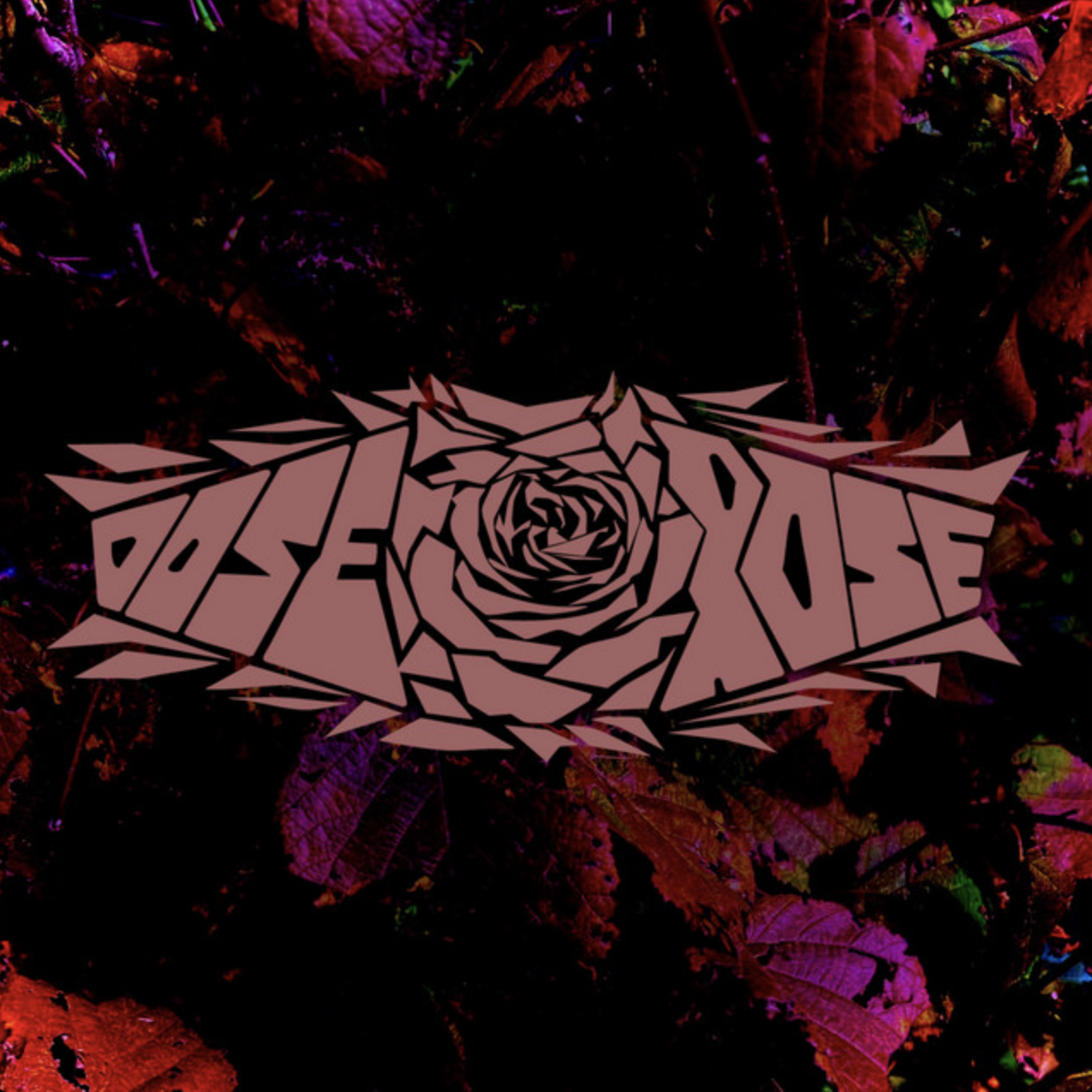 Dose Rose cover art